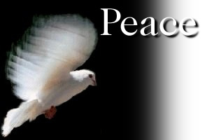Dove - Peace